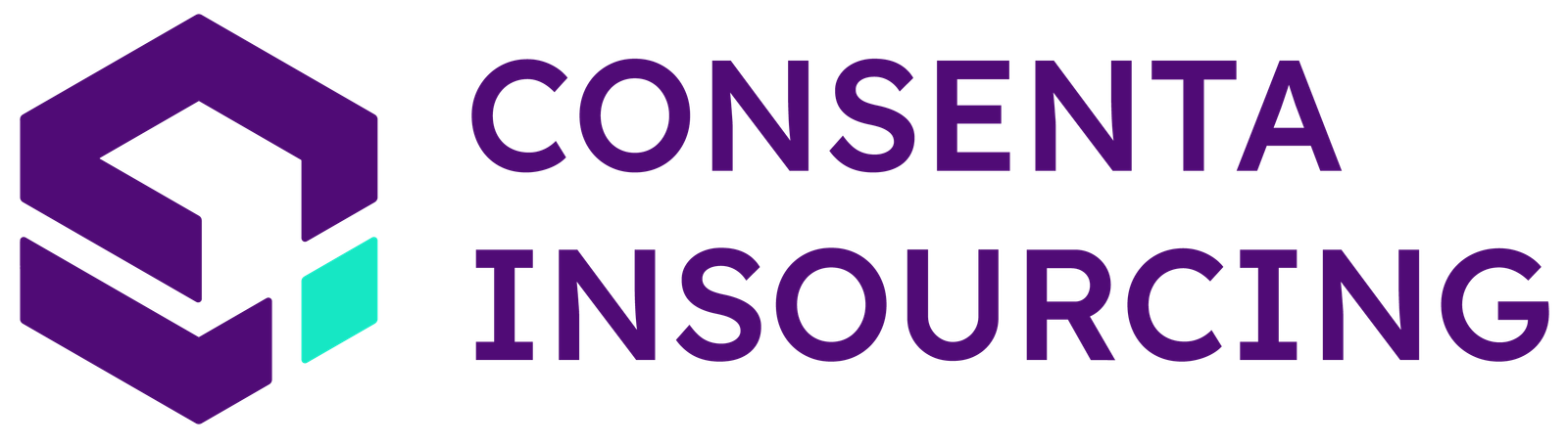 Consenta Insourcing